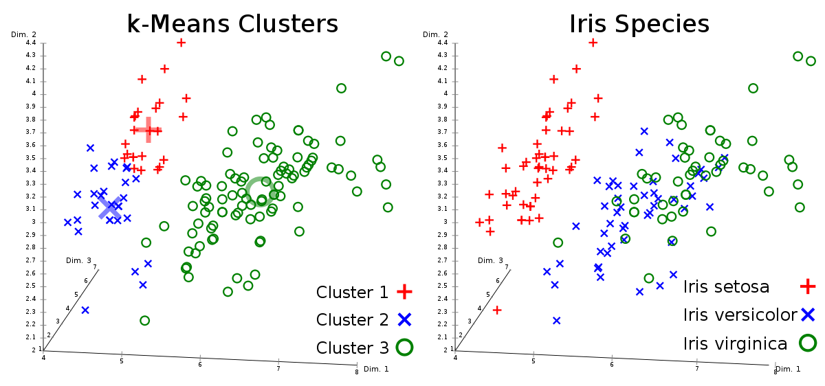 1200px-Iris_Flowers_Clustering_kMeans.svg