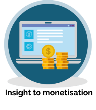 Insight to monetisation