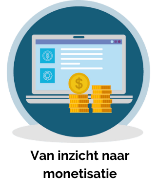 van inzicht naar monetisatie